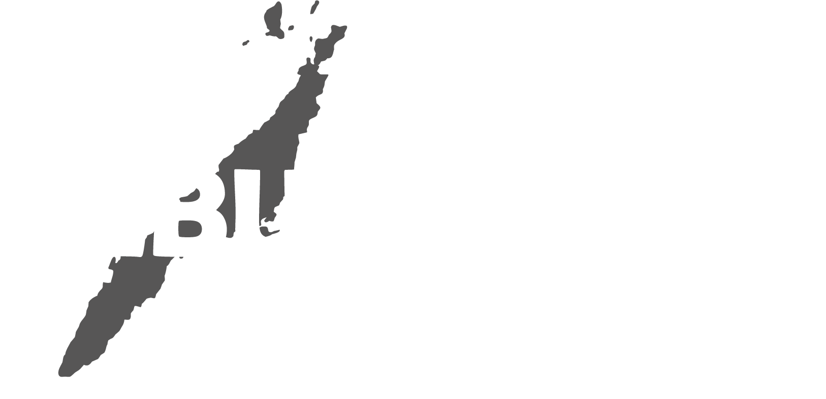 Cebu Tour Logo